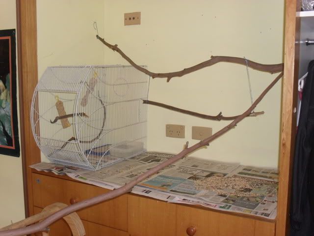 SAM_0837.jpg