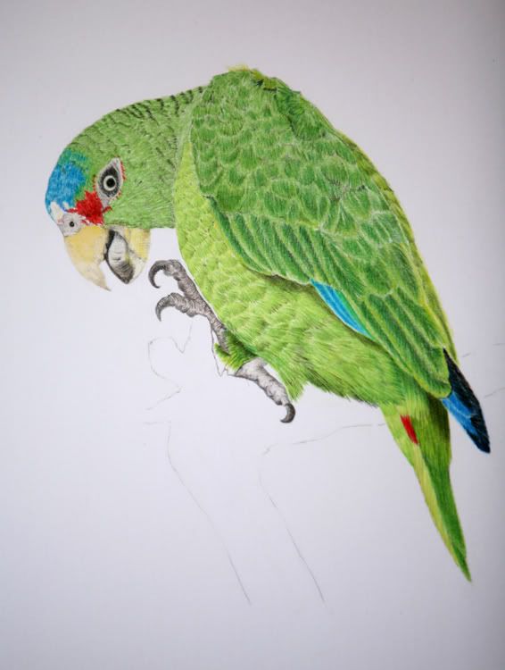 topbirdfinished005.jpg