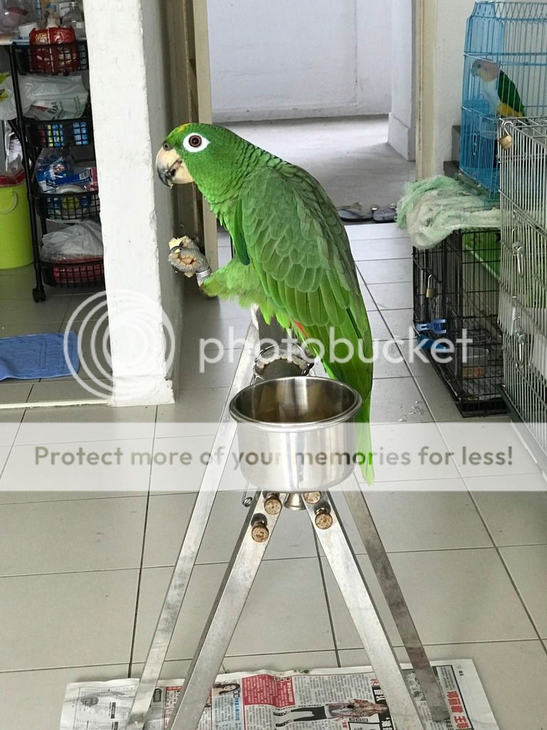 IMG_0155_zpskmh4sraf.jpg
