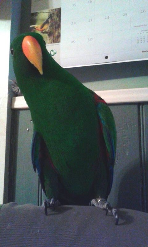 20160107_185303.jpg