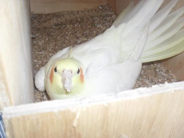 SAM_1578.jpg