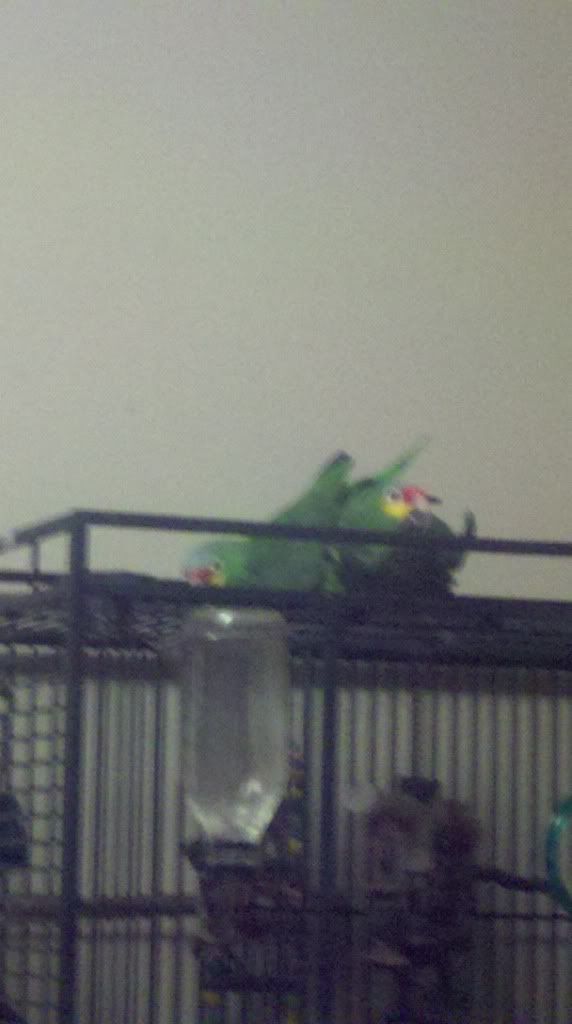 2012-01-22_20-33-59_808.jpg