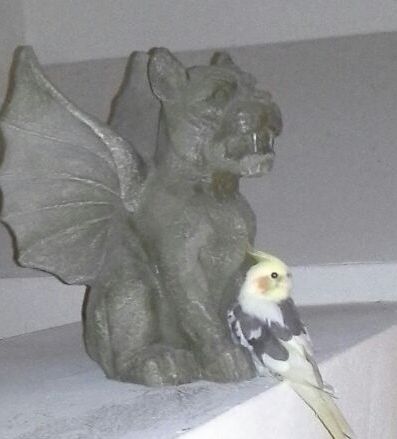 gargoyletiel.jpg