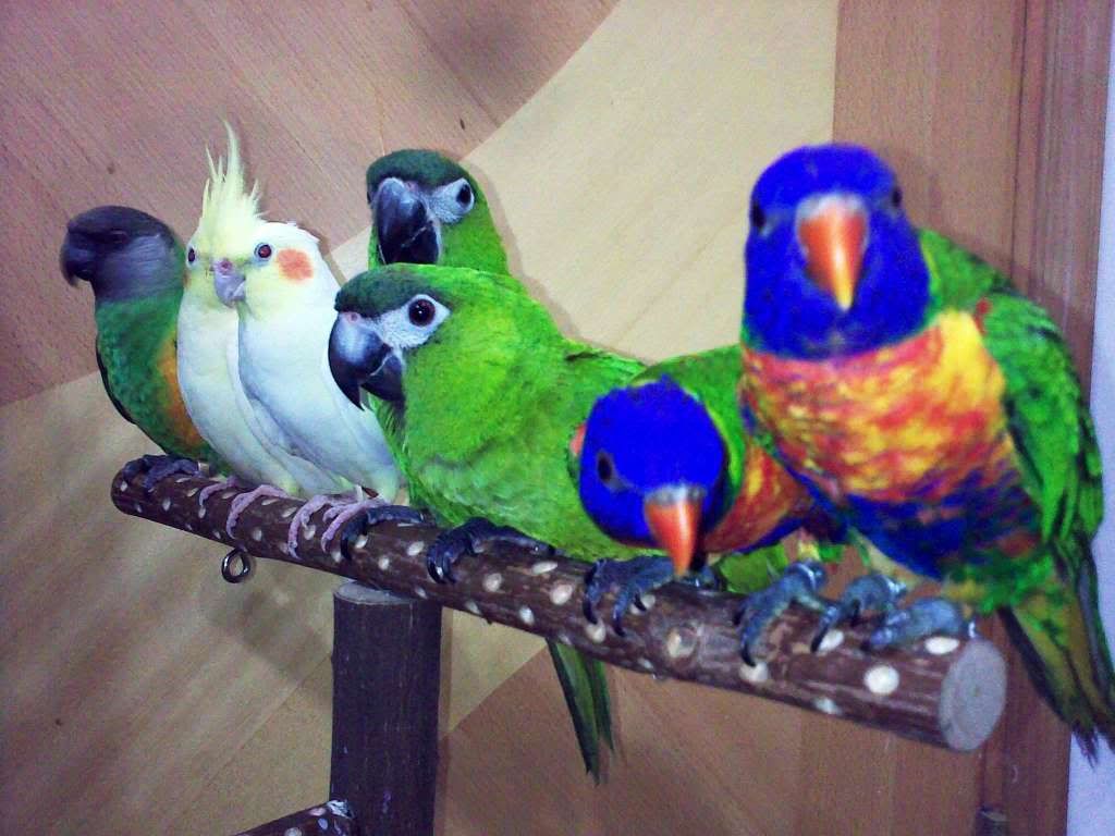 20100917368-1.jpg