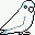 WhiteParrotlet.gif