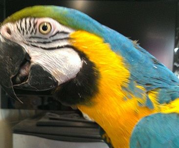 IMAG0909.jpg