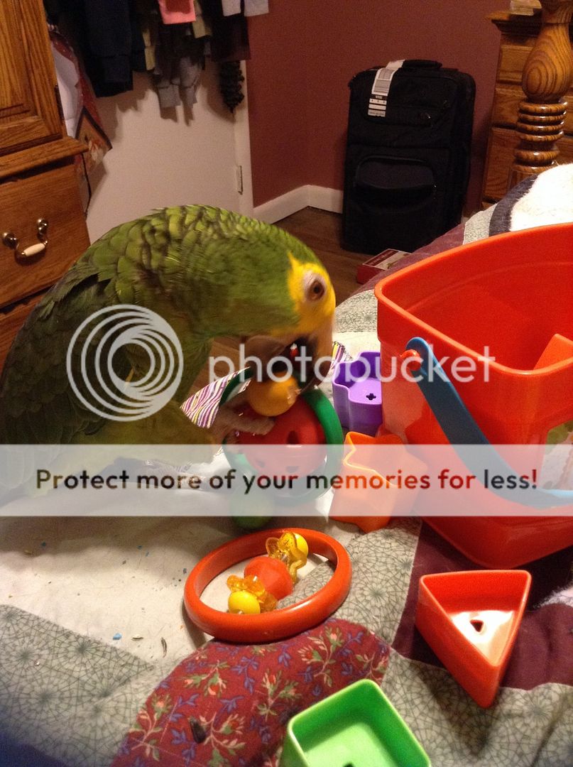 image.jpg3_6.jpg