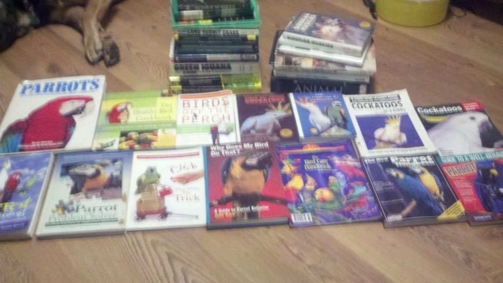 2012-01-22_22-15-13_116.jpg