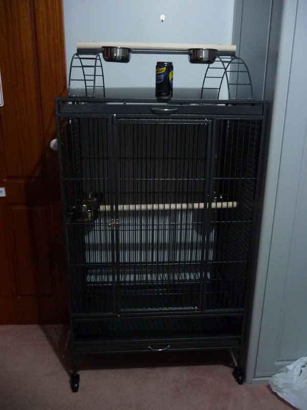 newcage.jpg