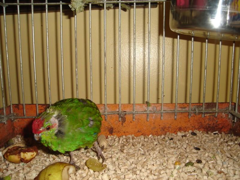 DSC00839.jpg