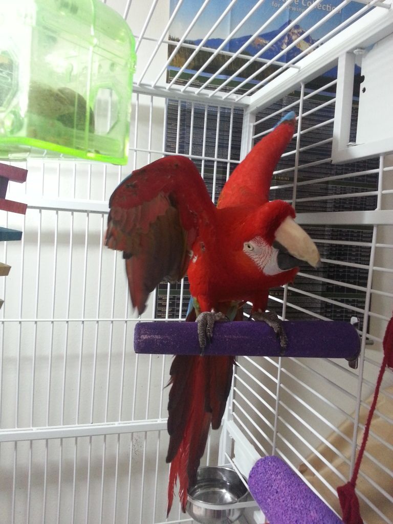 20130212_133545.jpg