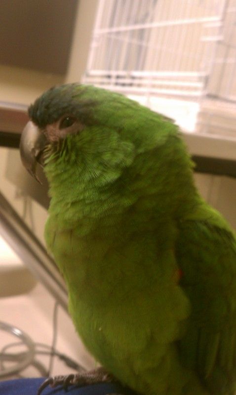 IMAG0061.jpg