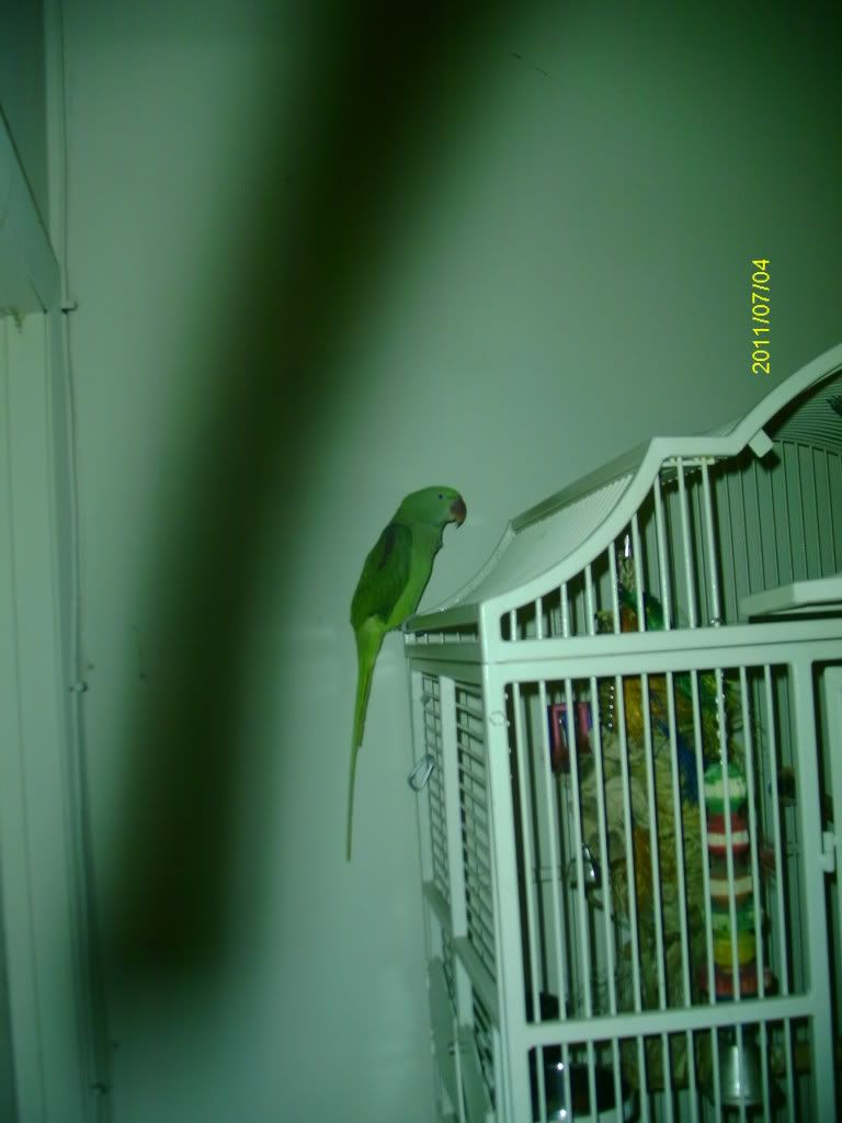 IMAG1383.jpg