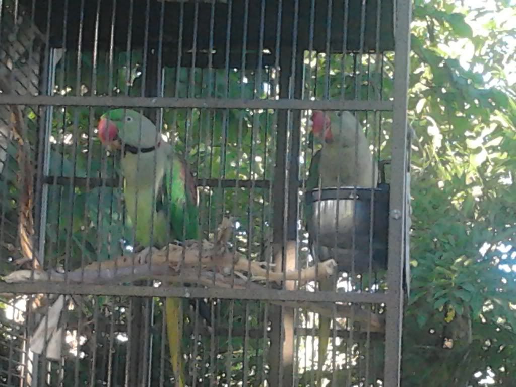 2013-03-15162500_zpsecbcd079.jpg