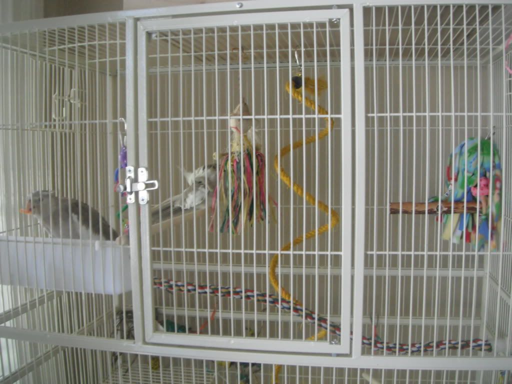 DSCF2687.jpg