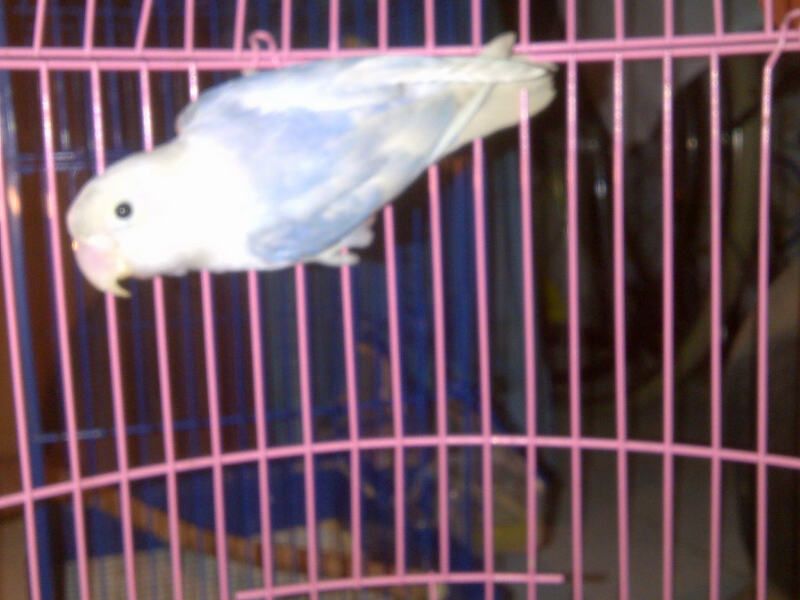 IMG-20130118-00234_zps1e550069.jpg