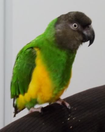 waeawdaw.jpg