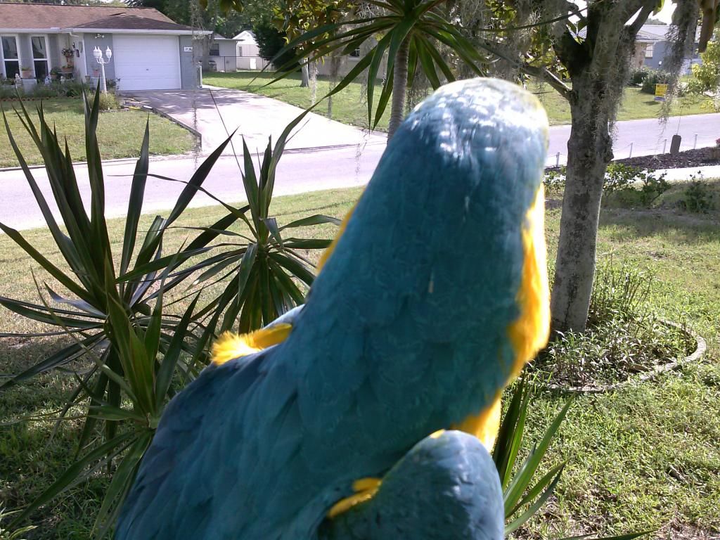 CAM00456.jpg