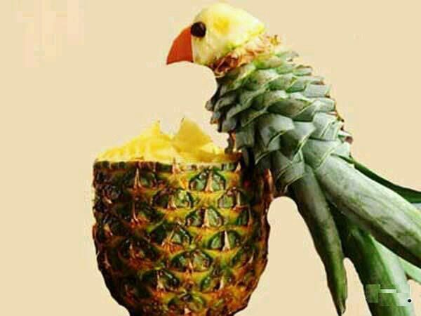 PinappleConure.jpg