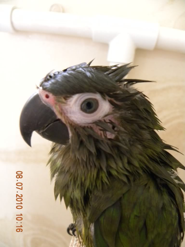 DSCN2803.jpg