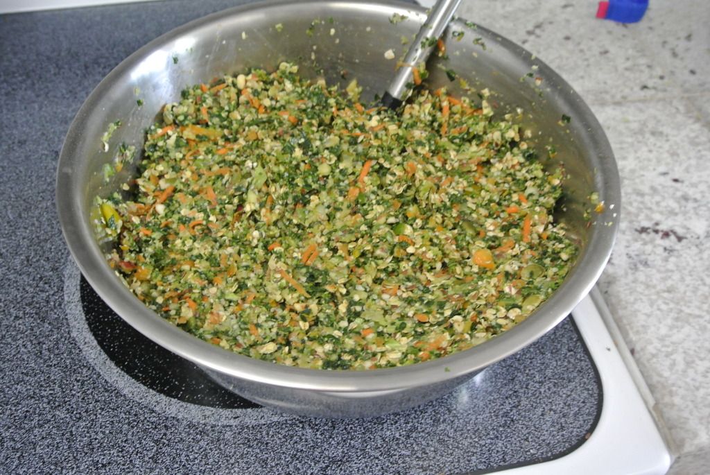 DSC_9226_zpstuzyxjmn.jpg