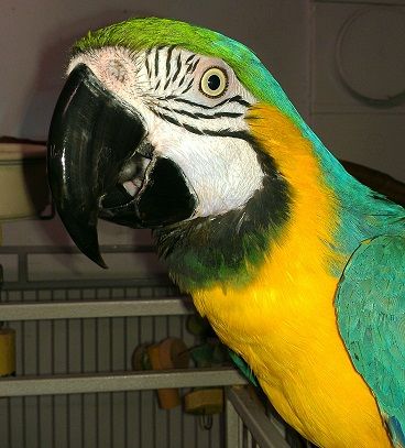 IMAG0949.jpg