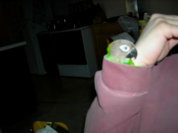 DSCN0126.jpg