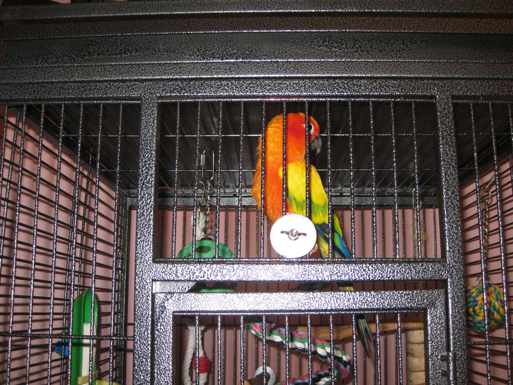 IMG_1620.jpg