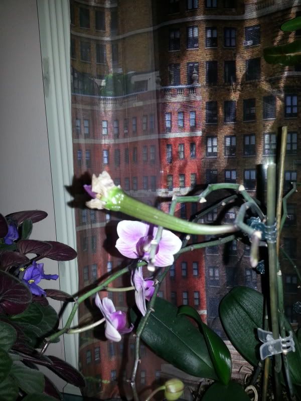 20130302_003305_zps1ff5af21.jpg