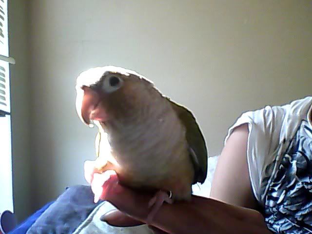 Snapshot_20120401_1.jpg