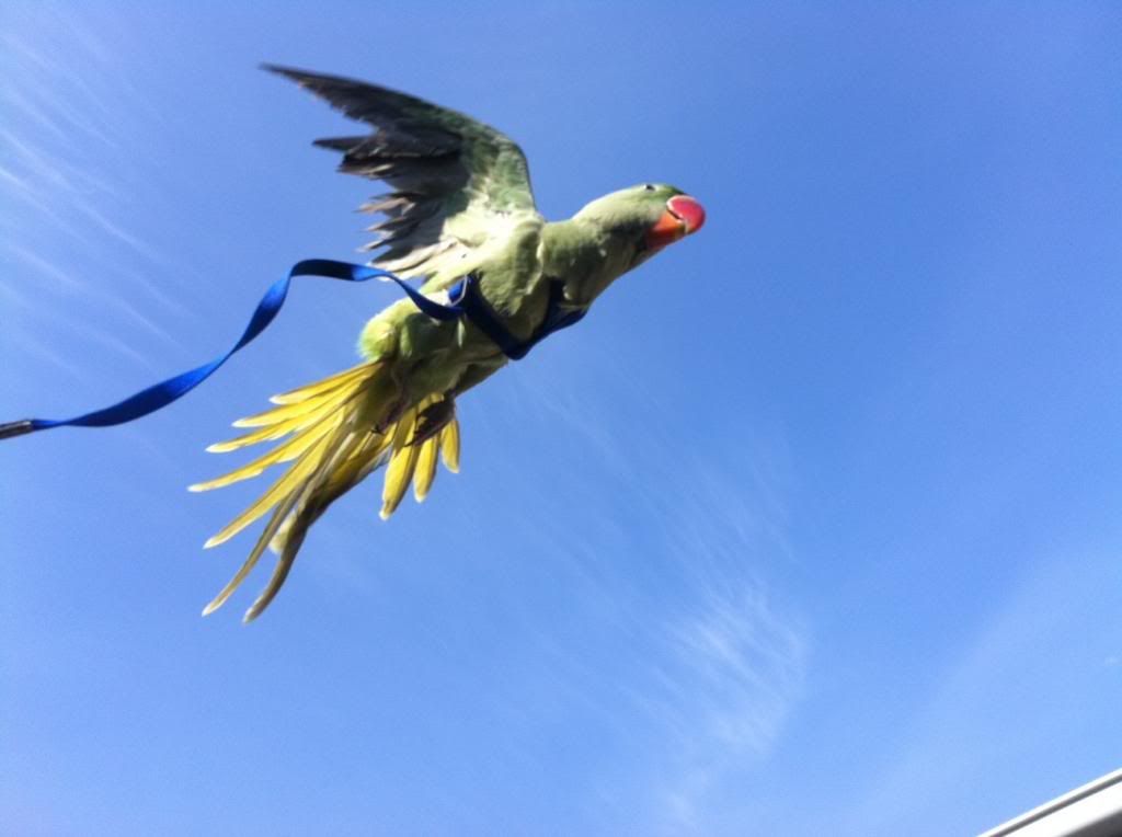 image_zps64399c61.jpg