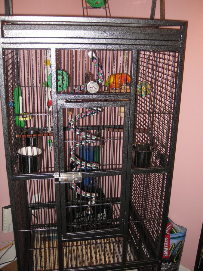 IMG_1617.jpg