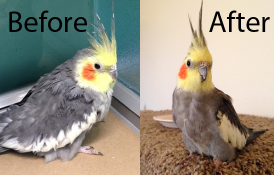 FibNFyF.jpg
