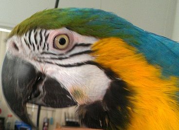 IMAG0897.jpg