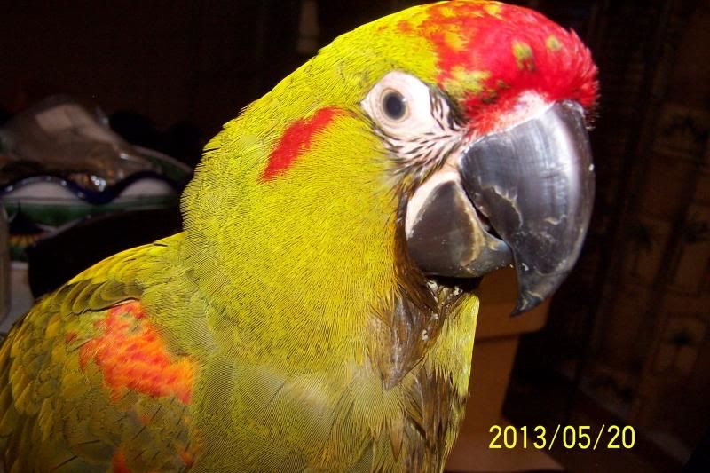 100_2364_zps258793d9.jpg