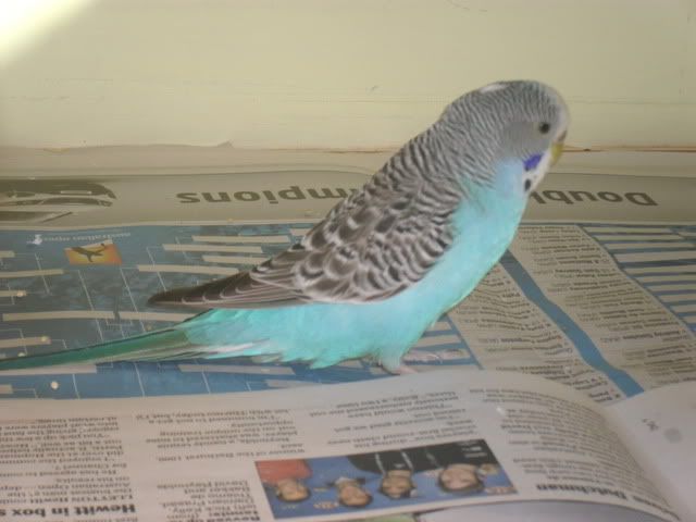 SAM_0975.jpg