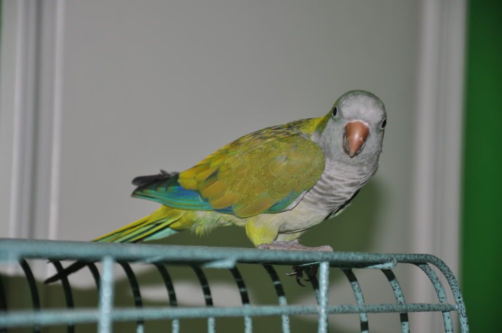 DSC_1903.jpg