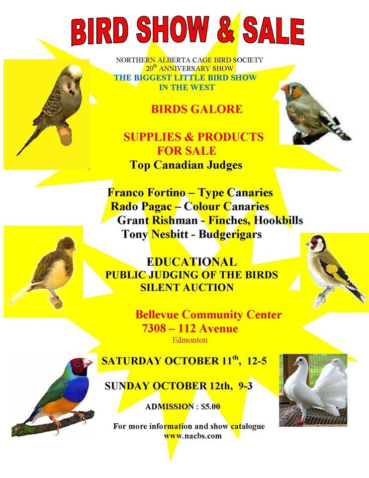 birdshowposter_zps5252e33a.jpg