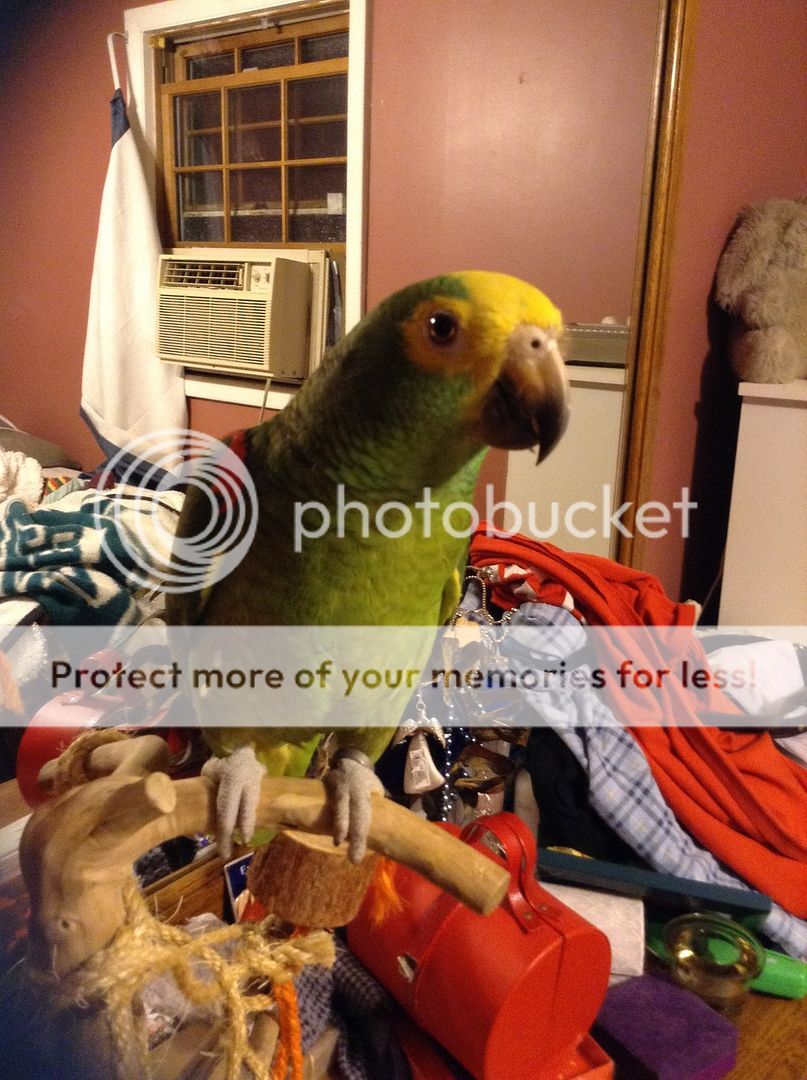image.jpg2_5.jpg