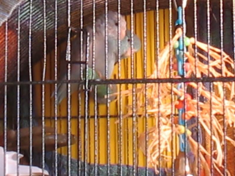 Picture001.jpg
