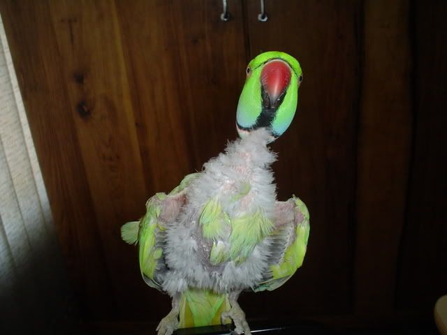 DSC01827.jpg