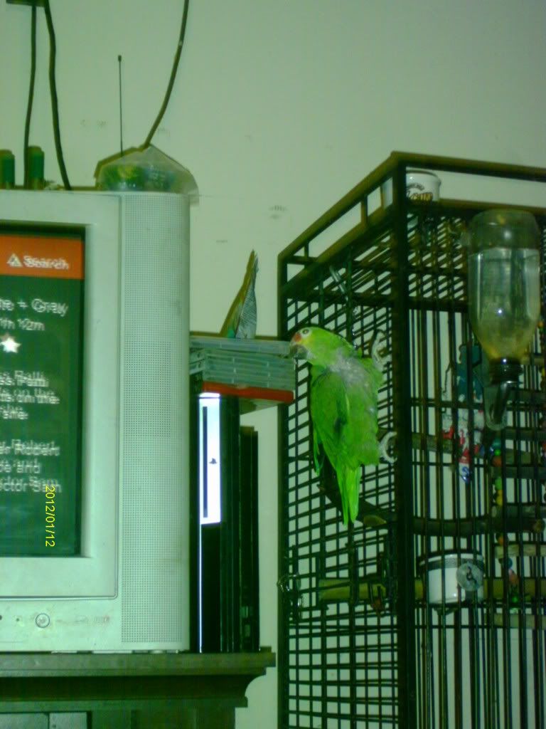 IMAG2078.jpg