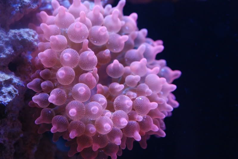 DSC_0168.jpg
