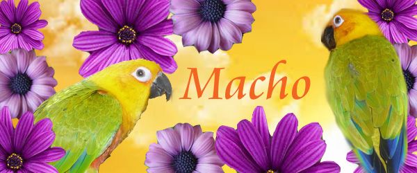 machosiggy_zpsf9405080.jpg