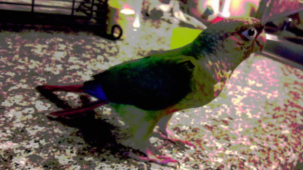 IMAG0462.jpg