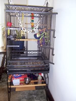 20120502_6.jpg
