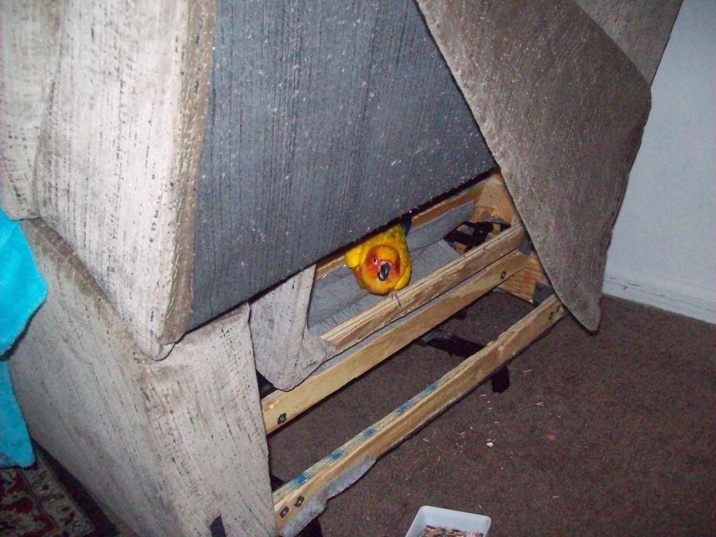 106_0118.jpg