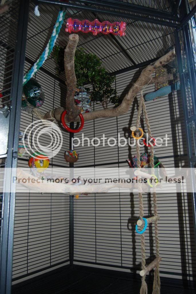 fargonewtoysandcage028_zps416123c1.jpg
