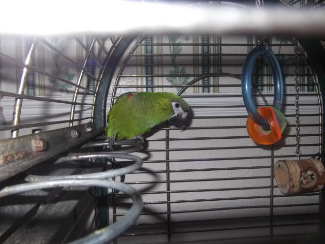DSCF0322.jpg