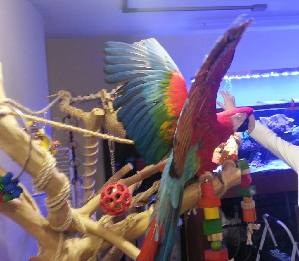20130212_185656-2.jpg